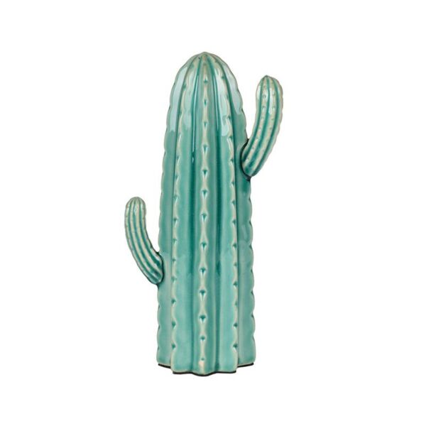 CACTUS   P