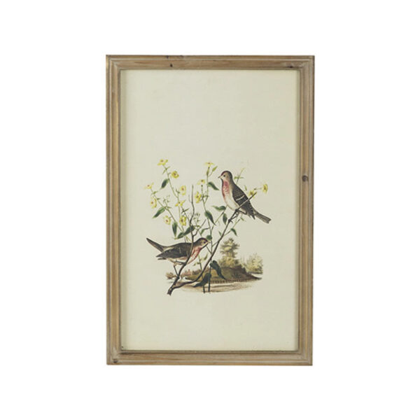 QUADRO BIRDS MEDIO B