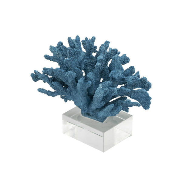 CORAL MIRTES AZUL