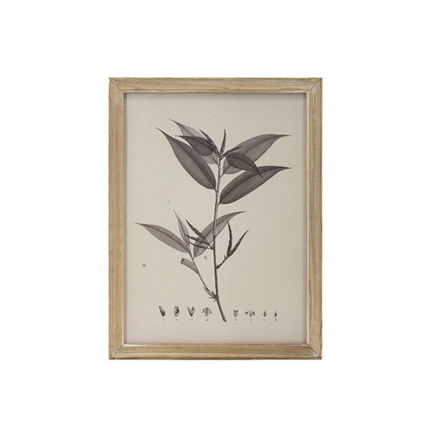 QUADRO NEW BOTANICAL A