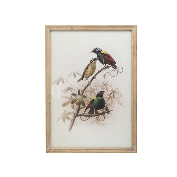 QUADRO BIRDS GRANDE B